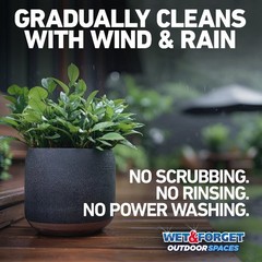 Outdoor Spaces Moss, Mold, Mildew, and Algae Stain Remover Spray, 32 oz