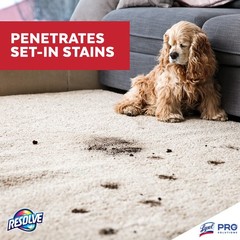 Professional Strength Spot and Stain Carpet Cleaner, Carpet Cleaner, Carpet C…