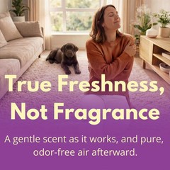 Carpet & Rug Dry Cleaner w/Brush – Carpet Deodorizer & Freshener Powder – Spo…