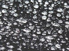 2141 Convertible Top Fabric Protectant