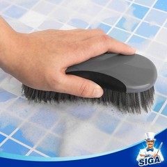 Dual Pack Heavy Duty Scrub Brush Set
