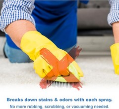 Aerosol Carpet Stain Remover, 14 oz – Bleach-Free Formula for Safe Cleaning