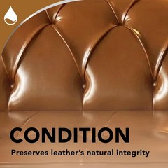 Professional Grade Leather Care – Cleaner & Conditioner, 12 Fl Oz, Residue-Free