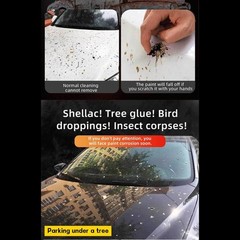 Splat Bird Poop Dropping Bug Insect and Road Grime Remover Car Windshield Spray