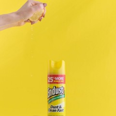 Endust Multi-Surface Dusting and Cleaning Spray, Lemon Zest, 12.5 Ounce 2 Pack