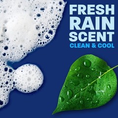 Dawn Platinum Dishwashing Liquid Dish Soap, Fresh Rain 90 fl. oz.