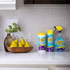19 oz Unscented Aerosol Glass Foaming Cleaner – Perfect for Windows & Mirrors