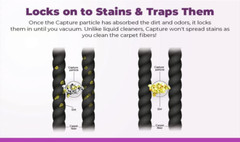 Capture Carpet Cleaner Soil Release Pre-Mist Dry Cleaner Powder – 2 Pack
