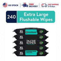 DUDE Flushable Wipes Extra Large Mint Chill Wet Wipes 48 Ct 5 Pack