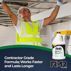 Mold Remover Stain Mildew Cleaner Heavy Duty Surface Spray 1 Gallon