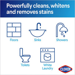 Clorox Concentrated Bleach Powder – 21.1 Oz.