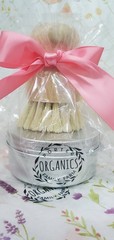 Solid Dish Soap & Scrub Brush*Pink Grapefruit* Porter Family Farm Organics 4oz