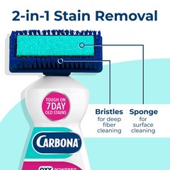 2-in-1 Oxy-Powered Carpet Cleaner (13.5 Fl Oz), Spot Cleaner with Dual Sponge…