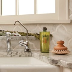 Dishwashing Liquid (Frasier Fir)