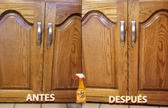 Products ORS016 Orange Oil Wood Polish, 16 oz