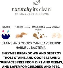Plant-Based Floor Cleaner 24 Gallons pH Neutral Biodegradable Kids Pets Safe