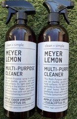 2 Pack CLEAN + SIMPLE MEYER LEMON Kitchen Refresher Cleaner Odor Deodorizer
