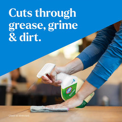Clorox Ecoclean All-Purpose Cleaner Refill, 128 Fluid Ounces, Pack of 4