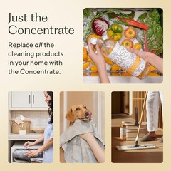 Concentrate Refill (33.8 oz) | All Purpose Multi-Surface Cleaning Concentrate…