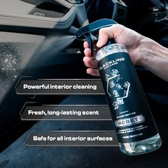 Luxury Scented Leather Interior Car Cleaner 16 Fl Oz (Pack of 1) Dark Ice