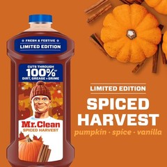 All Purpose Cleaner, Cleaning Liquid, Spiced Harvest, 41 fl oz