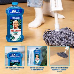 2X Concentrated Multi Surface, All Purpose Cleaner, 41 fl oz