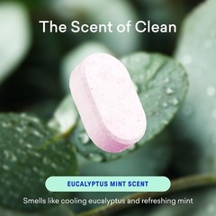 BLUELAND Bathroom Cleaner Starter Set Eucalyptus Mint