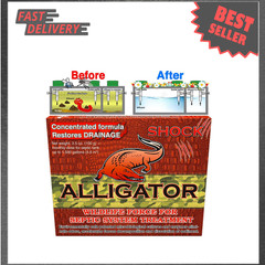Septic Treatment Cleaner Organic Enzyme Bacteria for Drainfield Odor Sludge