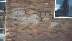 Graffiti Solutions – 1 Quart Elephant Snot + 1 Quart Shadow Max