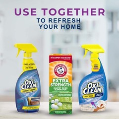 30 oz. Extra Strength Carpet and Room Odor Eliminator (3-Pack)