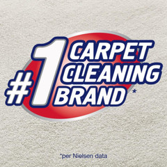 22 Fl Oz Liquid Multi-Fabric Cleaner and Upholstery Stain Remover