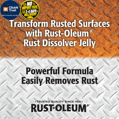 Rust-Oleum Rust Dissolver Jelly | Heavy-Duty 8 Fl Oz (Pack of 1), No Color