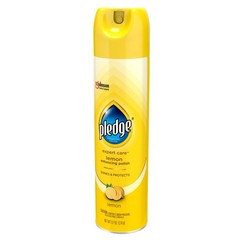 Expert Care Multi Surface Enhancing Furniture Polish Spray – Lemon – 9.7oz