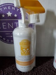 Scentsy Counter Clean 16OZ – Sunkissed Citrus