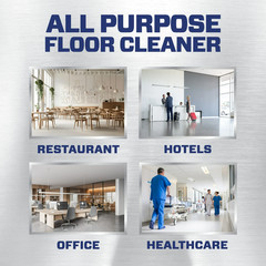 2 Pack Mr. Clean Professional All Purpose Floor Cleaner 1 Gallon