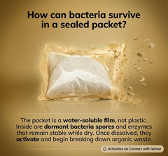 Septic Tank Treatment Dissolvable Bacteria Enzyme Packets 12 Count 1 Year Supply