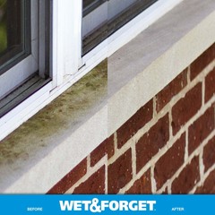 Wet & Forget Outdoor Cleaner – Ready-to-Use for Moss, Mold, Mildew & Algae