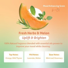 Clean All Purpose Cleaning Spray – Fresh Herbs & Melon 24 fl. oz – 100% Natur…