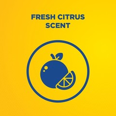 Zep Big Orange-E NPE Free Cirtus-Based Liquid Cleaner – 32 oz. (Case of 12) –