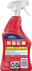 22 Fl Oz Liquid Multi-Fabric Cleaner and Upholstery Stain Remover