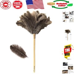 Genuine Ostrich Feather Duster with Wooden Handle | 24″ of Gentle Dusting