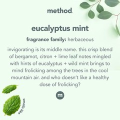 68 Fl Oz Eucalyptus Mint Shower Cleaner Refill – Biodegradable & Cruelty-Free