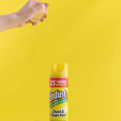 Endust Multi-Surface Dusting and Cleaning Spray, Lemon Zest, 12.5 Ounce (Pack of