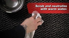 All-Purpose Paint Remover Spray 22oz – Water-Based Adhesive & Graffiti Remover,