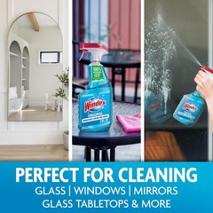 Windex Glass and Window Cleaner Spray Bottle, Original Blue, 23 fl oz