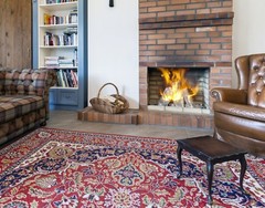 Speedy White Fireplace, Hearth & Stove Cleaner, premium creosote & soot removal!