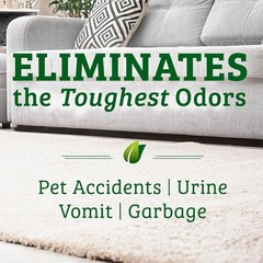 Bac-Out Enzyme Odor & Stain Remover, 128oz, Eco-Friendly, Carpet & Fabric