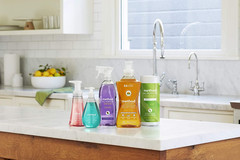 Glass Cleaner, Mint, 28 Ounce, 4 Pack, Packaging May Vary