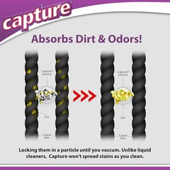Carpet & Rug Dry Cleaner w/Brush – Carpet Deodorizer & Freshener Powder – Spo…