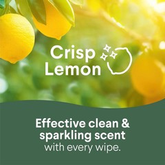 Multi Surface Cleaning Wipes Bleach Free 6 Pack 75 Count Each Household Cleaner